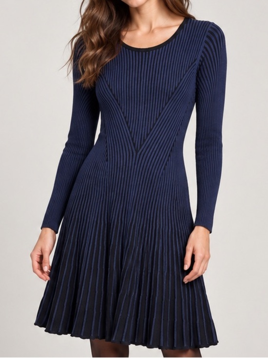 Express Dresses & Skirts - Express Navy Ribbed Pleated Fit & Flare Sweater Dress M